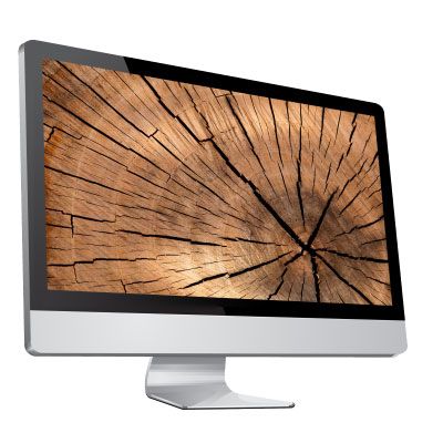 Immagine illustrativa del materiale per formatori in slide PPT del corso Age Management