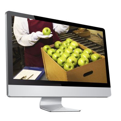 Immagine illustrativa del materiale per formatori in slide PPT del corso Addetti al settore alimentare