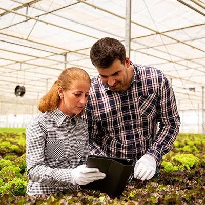 Uomo e donna addetti al settore agricolo
