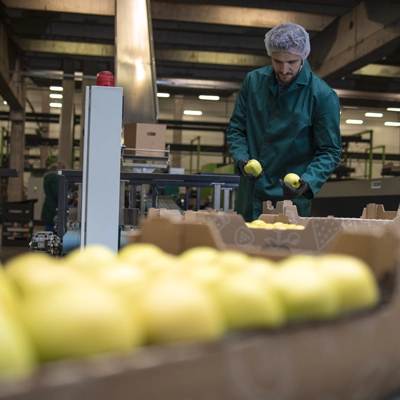 Addetto settore alimentare