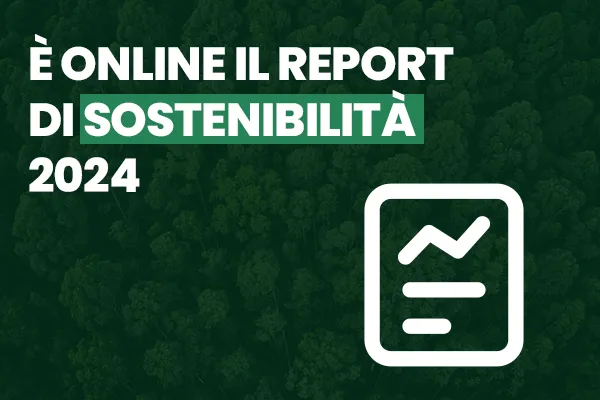 Immagine con sfondo verde e icona report sostenibilità